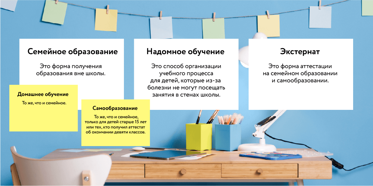 Семейное образование — с чего начать? Как начать учиться на домашнем обучении